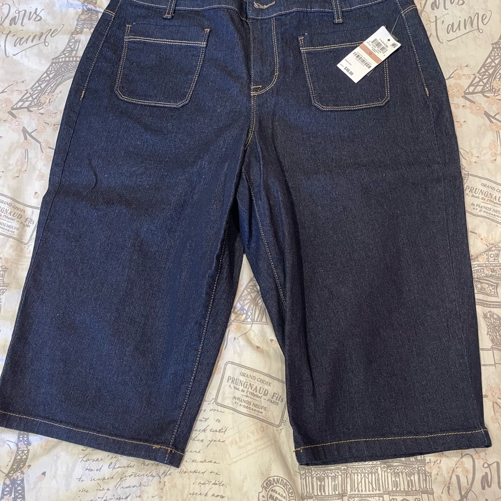NWT Style&Co Denim Skimmer size 12